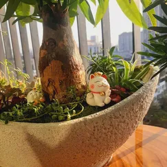 Tiểu cảnh - Thuyền Tài lộc (2)