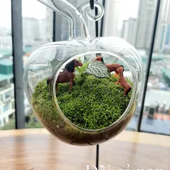 Terrarium set up sẵn - Đồi cỏ non