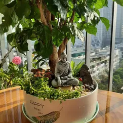 Tiểu cảnh - An nhiên