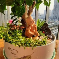 Tiểu cảnh - Hạnh phúc