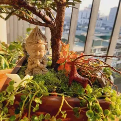 Tiểu cảnh - Hảo Hán