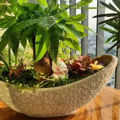 Tiểu cảnh - Thuyền Tài lộc
