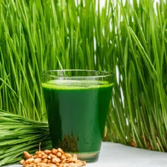 Hạt mầm Cỏ Lúa Mì (Lúa Mạch)