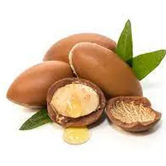 Dầu Argan