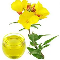 Tinh dầu Hoa Anh Thảo