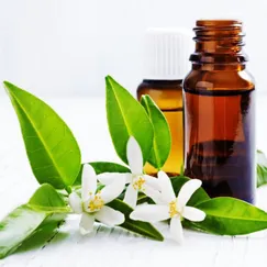 Tinh dầu Hoa Cam - Neroli essential oil
