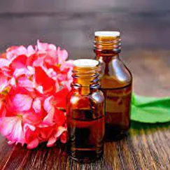 Tinh dầu Hồng Phong Lữ - Rose Geranium