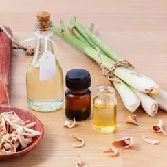 Tinh dầu Sả Chanh - Cỏ Chanh - Lemongrass