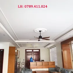 TRẦN THẠCH CAO CHÌM