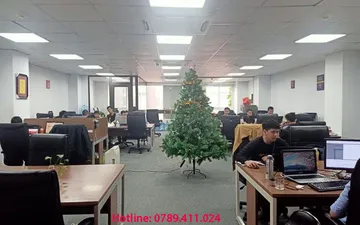 Trần nhựa thả giá bao nhiêu