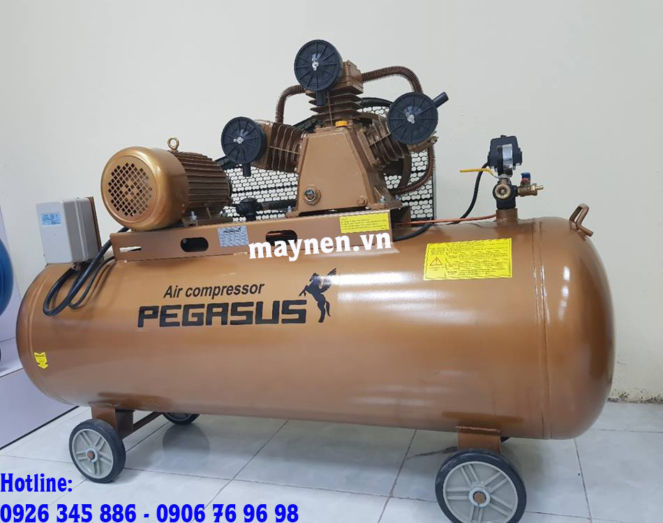 máy nén khí piston pegasus