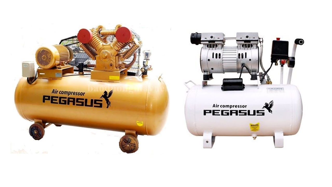 Các dòng máy Pegasus phổ biến