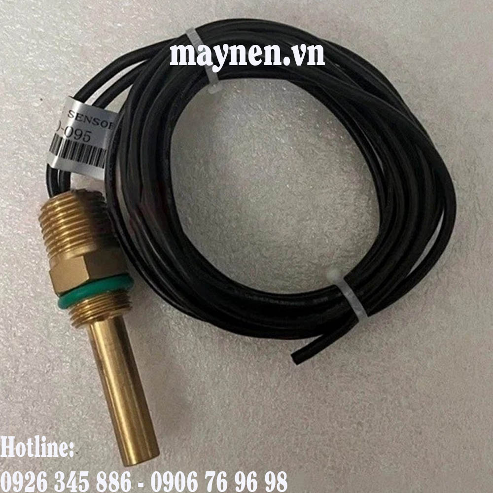 Cảm biến nhiệt độ 022500100-095
