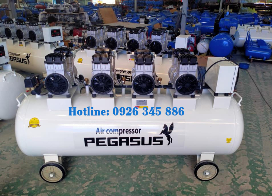 máy nén khí không dầu Pegasus
