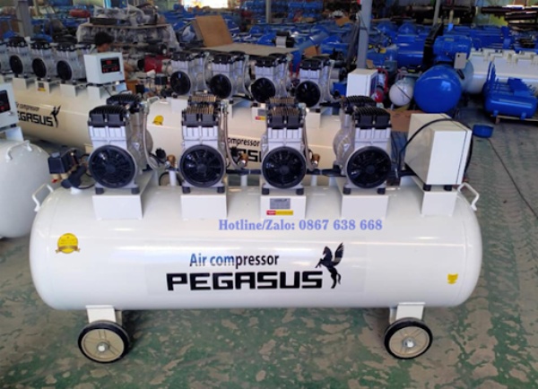 Máy nén khí không dầu Pegasus
