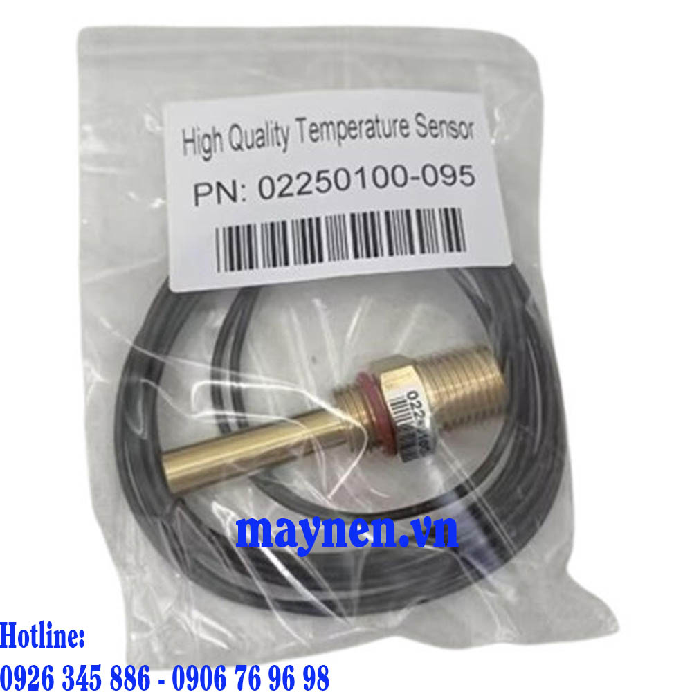 Cảm biến nhiệt độ 022500100-095