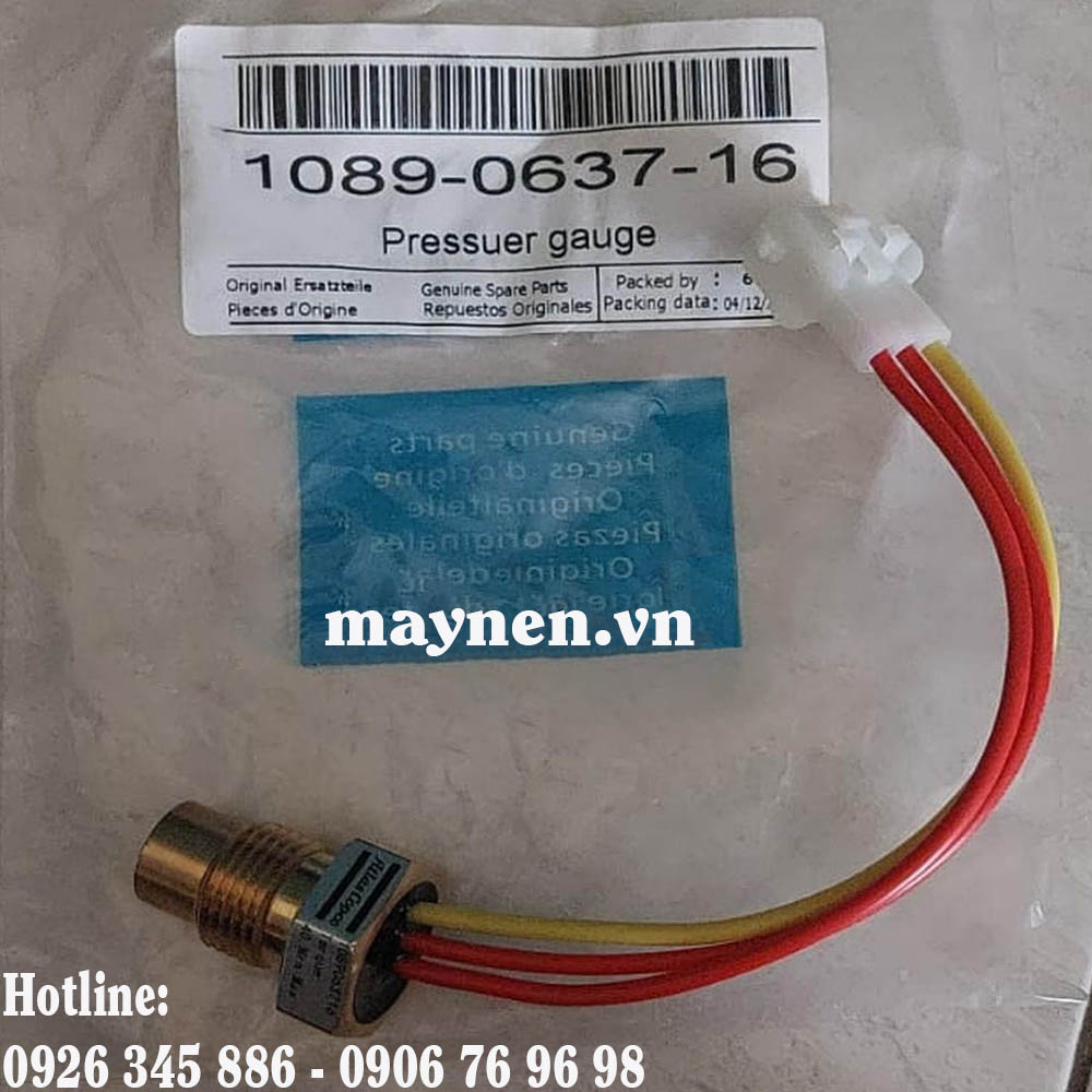 Cảm biến nhiệt độ 1089-0637-16