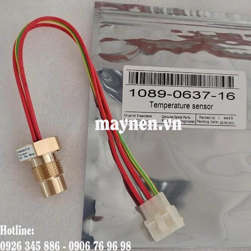 Cảm biến nhiệt độ 1089 0637 16