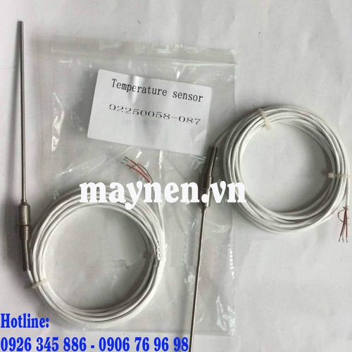 Cảm biến nhiệt độ 02250058-087