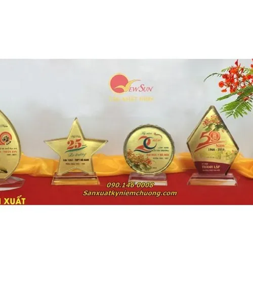 Kỷ niệm chương, Kỷ niệm chương trường học