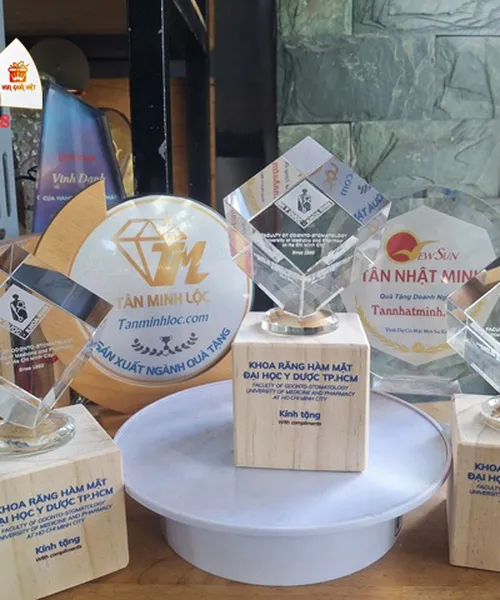 Quà Tặng Pha lê 3D, 2D - Khối Doanh Nghiệp, Đoàn Thể