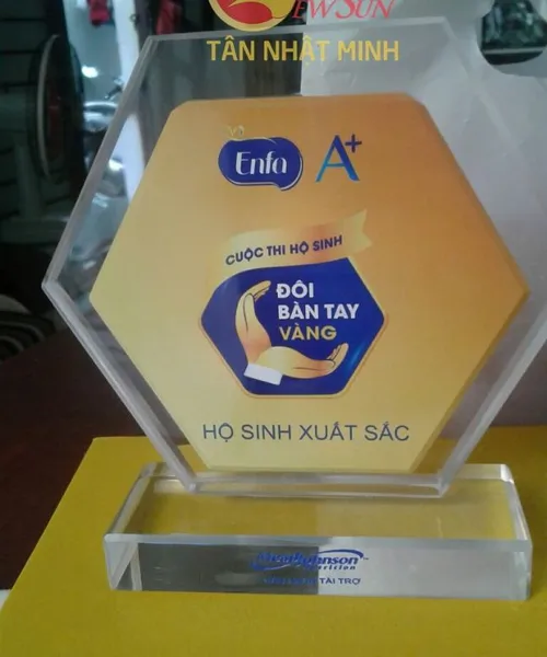 Kỷ niệm chương thủy tinh, Kỷ niệm chương in hình logo công ty