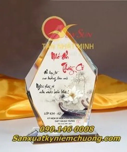 Kỷ niệm chương, Kỷ niệm chương trường học