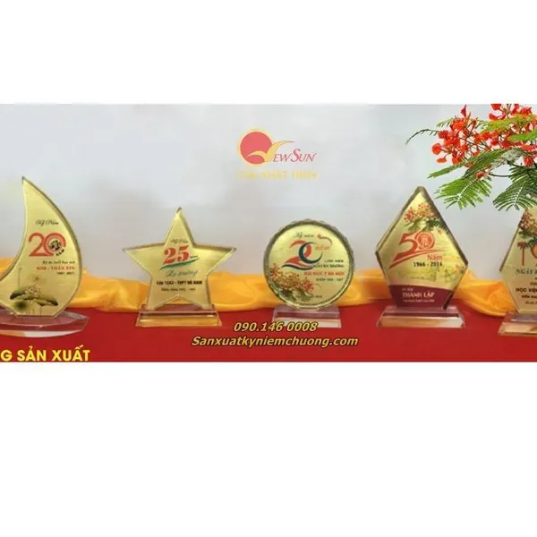 Kỷ niệm chương, Kỷ niệm chương trường học