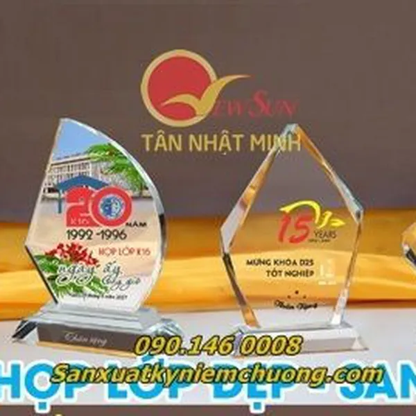 Kỷ niệm chương, Kỷ niệm chương trường học