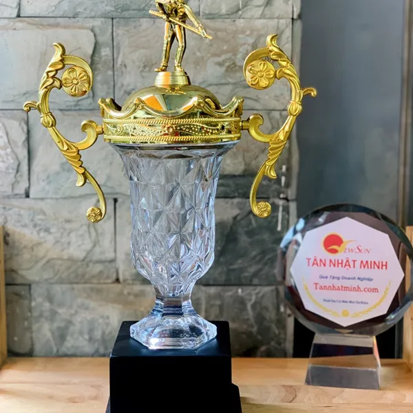 Cúp Bida - Cúp Giành Cho Giải Bida Mua Tại Tân Nhật Minh
