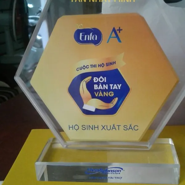 Kỷ niệm chương thủy tinh, Kỷ niệm chương in hình logo công ty
