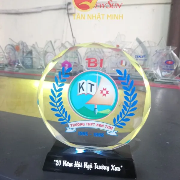 Kỷ niệm chương, Kỷ niệm chương trường học
