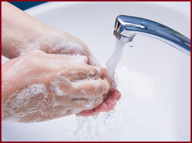 rửa tay sau khi tiếp xúc thú cưng