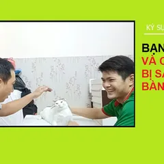 Gặp lại Kim Thông cùng chú mèo nhút nhát bị sạn bàng quang