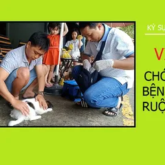 Chia sẻ của anh Hoàng - Vì sao chó bệnh đường ruột