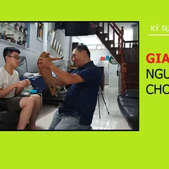 Người dám cho đi...