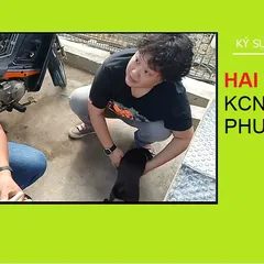 Hai chú cún KCN - Hiệp Phước
