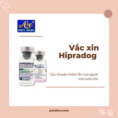 CHUYỆN NHẦM LẪN VỀ VẮC XIN HIPRADOG 7 | Bài số 13