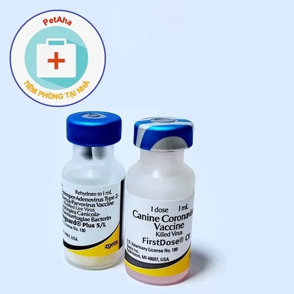 DVTPVC- Vanguard 7 bệnh cho chó