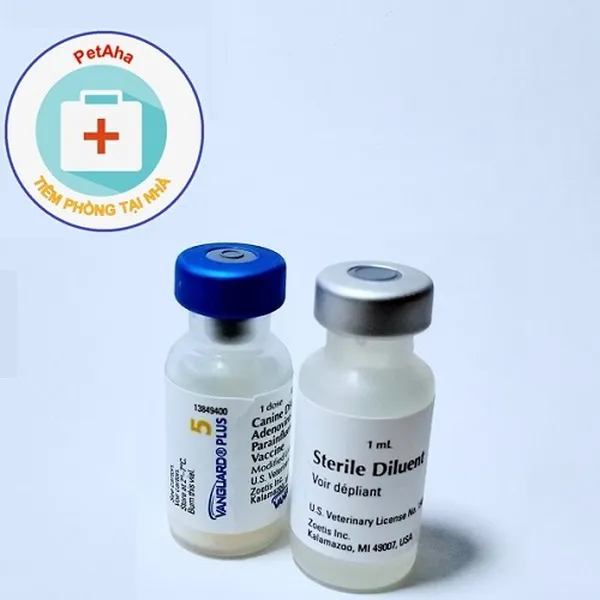 DVTPVC - Vanguard 5 bệnh trên chó