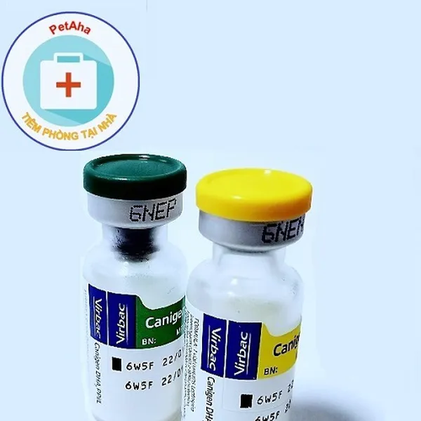 DVTPVC - Canigen 6 bệnh trên chó
