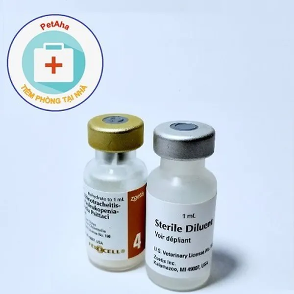 Gói dịch vụ tiêm phòng Vaccine Felocell cho mèo