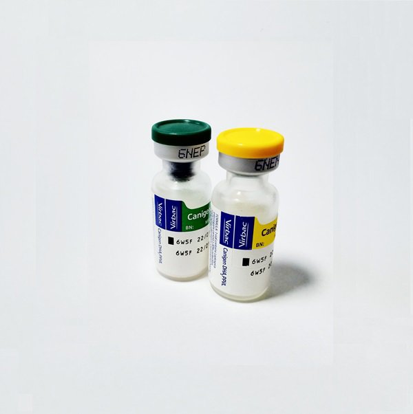Vaccine Canigen DHA2PPi/L