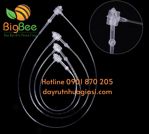 Đạn xỏ trắng đầu tròn