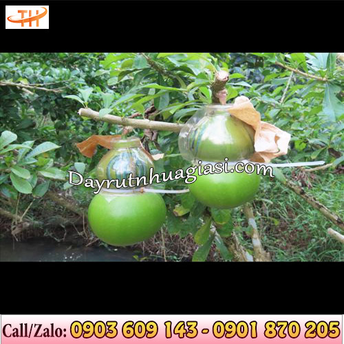 Dây rút nhựa đủ màu cố định khuôn tạo hình cho trái Dây rút nhựa đủ màu cố định khuôn tạo hình cho trái