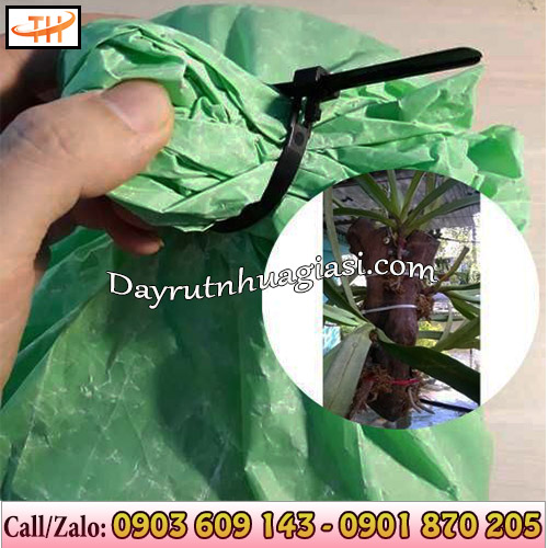 Dây rút nhựa được ứng dụng trong đời sống Dây rút nhựa được ứng dụng trong đời sống