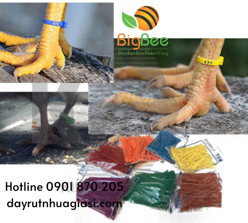 Dây rút nhựa màu 1 tấc buộc chân gà