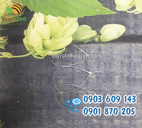 Đạn xỏ nhựa 5 inch đầu tròn sỉ rẻ tại TP.HCM