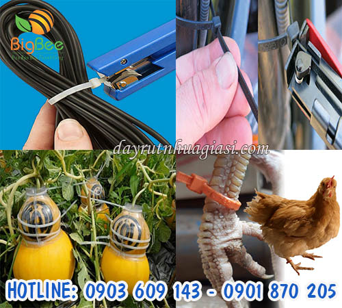 Dây lạt nhựa đa năng giá sỉ rẻ