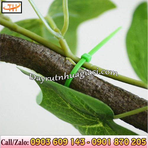 Dây rút nhựa cố định cây trồng Dây rút nhựa cố định cây trồng